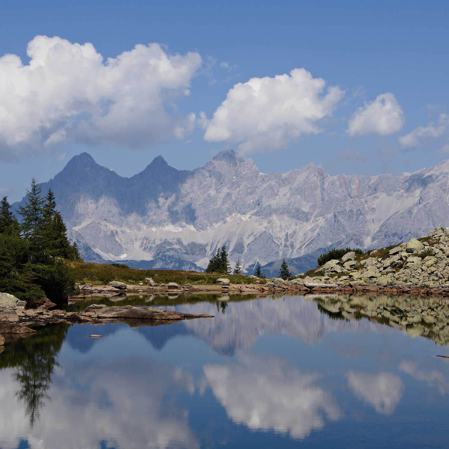 Shaman Practitioner Aufbaumodul „Erweckung der Schamanenkraft“