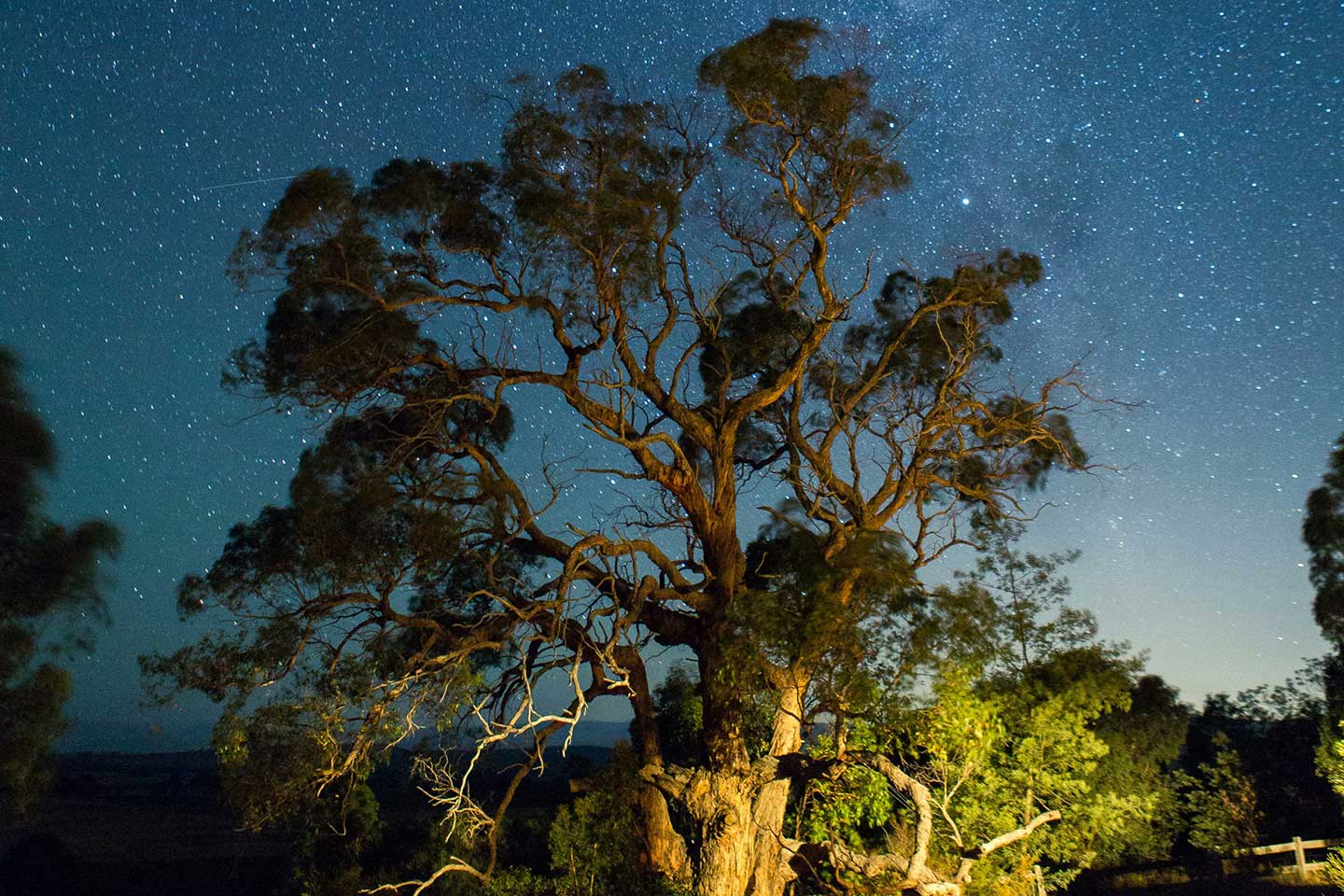 Fit in den Frühling - Biohotel Spöktal