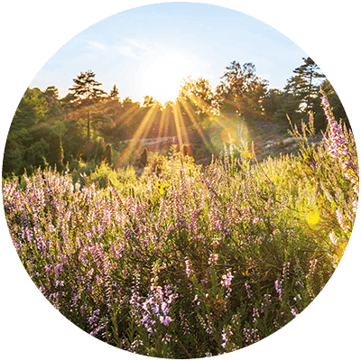 Natur - Biohotel Spöktal