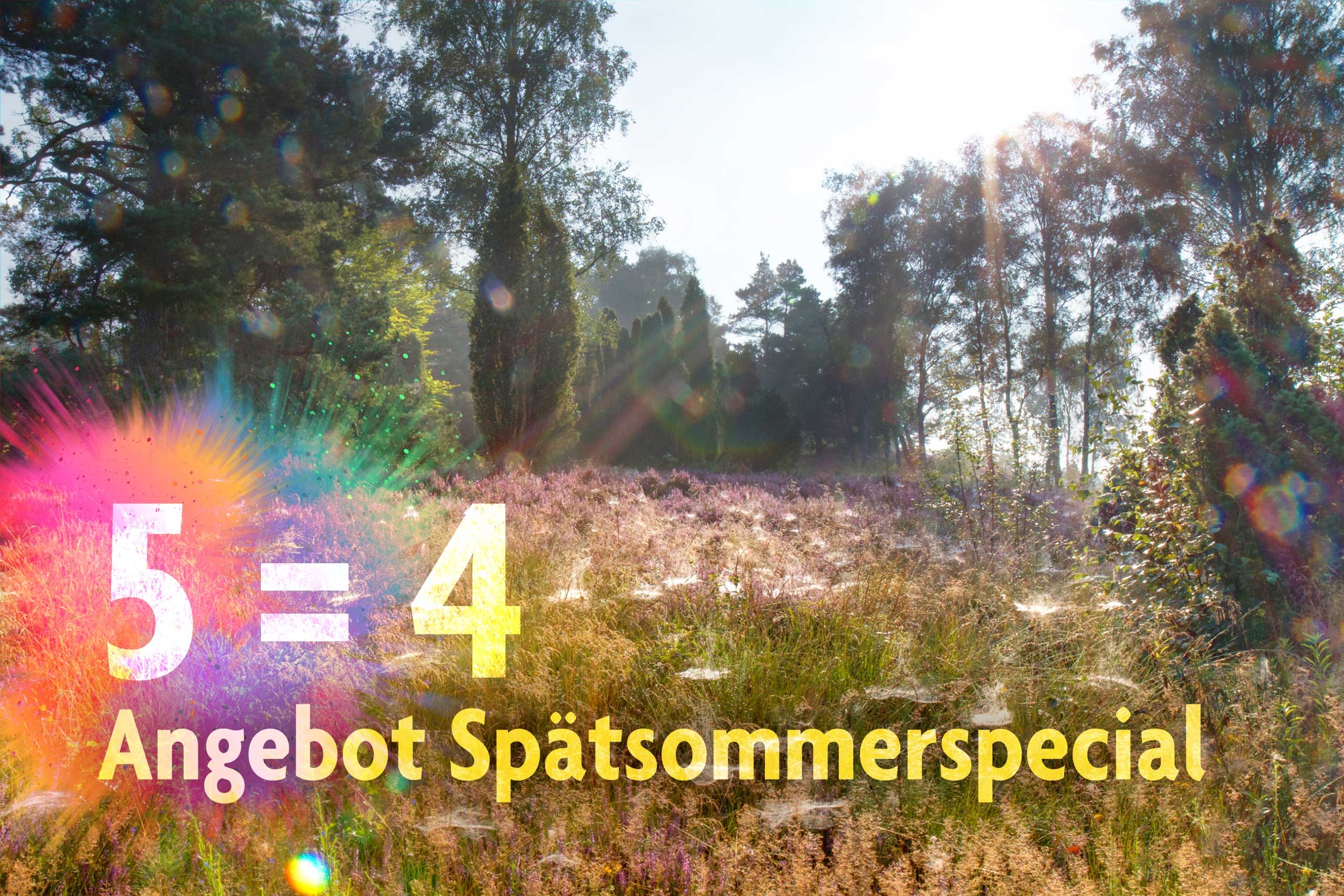 Angebot Spätsommerspecial